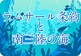 ラムサール条約と南三陸の海