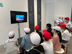 紅白帽をかぶった複数の小学生が、室内のモニターで映像を鑑賞している様子の写真