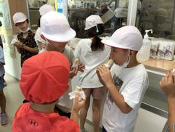 赤い帽子と白い帽子をかぶった小学生たちが、室内で蒲鉾を試食しながら会話を楽しんでいる様子を捉えた写真