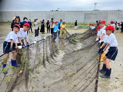 体操服と長靴を身につけた複数の小学生たちが、大きな網を協力して持ち上げ、引っ張ってている様子の写真