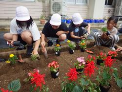 白い帽子をかぶった複数の小学生が、花壇の土を掘り、小さな花を植え付ける作業を協力して行っている様子の写真