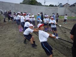 赤白帽をかぶった小学生たちが、砂浜で大きな網を協力して引っ張っている様子の写真