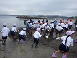 体操服を着た複数の小学生が、海辺で大きな網を協力して引っ張り、地引き網体験を行っている写真