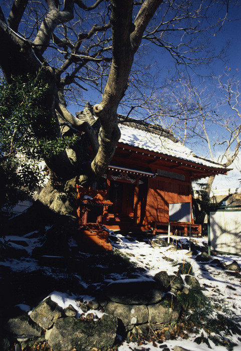 雪が積もった木々のそばに、赤い外壁で木造瓦屋根の天女塚と、隣に同じ赤色の狗塚が並んでいる戸倉津の宮の写真