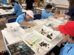 採取した生き物の仕分けをする児童の様子