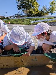 児童が砂金取り体験をしている様子