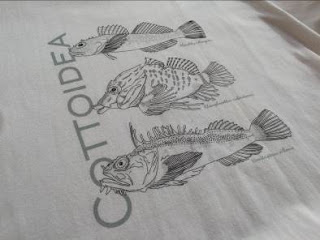 3種類の魚のイラストと「COTTOIDEA」の文字がグレーでプリントされた白地の布の写真