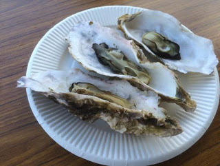 白い紙皿の上に蓋を外したカキが3つ並んでいる写真