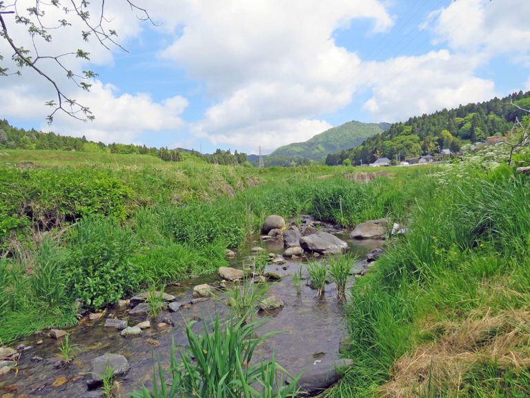 青空には白い雲が浮かび、背景には森と山が見える自然の中で、緑の草と小川が流れている静かな風景の写真