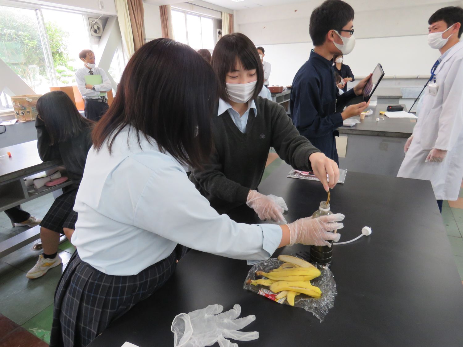 理科室で学生たちがバナナの皮と液体を使って実験を行っている様子の写真