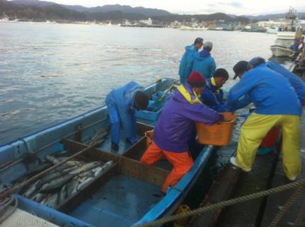 漁港に横付けされた小型船から銀色の魚を入れたカゴを岸の作業員に手渡し、複数の漁師が連携して水揚げ作業をしている様子の写真