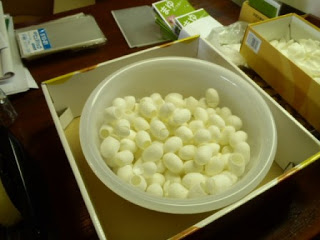 箱の中に置かれた白いプラスチック製のボウルに、たくさんの白いまゆ玉が入っている写真