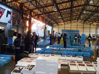 天井が高い魚市場の内部で、たくさんの青いプラスチックケースと白い発泡スチロール箱に魚が入っており、関係者の方々がセリの会場にあつまっている様子の写真