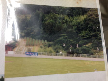 山あいの緑豊かなグラウンドで、フェンス越しの林を背景に白いハトが一斉に空へ飛び立っている様子を捉えた写真