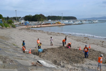 海辺の砂浜でオレンジ色のビブスを着た複数のボランティアがコーンで目印をした範囲を作業をしており、掘り返された部分が他の砂浜より濃い色に見える写真