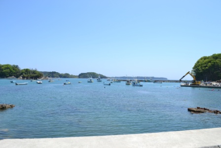 海に多くの船が停泊し右側には緑に覆われた木々とクレーンで工事をしている写真