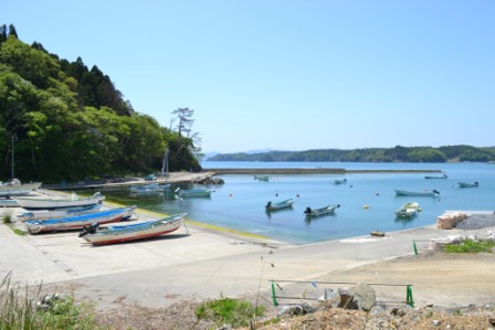 海辺に小さな舟が停泊していて、船着き場に船が4隻停まっている港の写真
