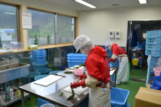 衛生服を着た作業員が調理室でワカメのような海藻を包丁で切っている様子を捉えた食品加工の作業中の写真