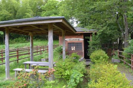 周囲には木々が生い茂っており、穏やかな雰囲気が漂っている緑豊かな自然の中に、木造で屋根付きの東屋と小さな建物が静かに佇んでいる様子を写した写真