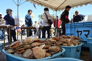大きな水色のカゴに沢山のホタテ貝が積まれ、テントの下で買い物客にスタッフが対応しているホタテ祭りの会場の写真