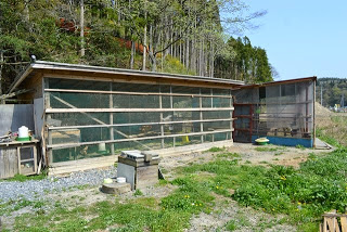 林に隣接した敷地内に巣箱のようなものが置かれ、奥に金網と木材で作られた鶏小屋が建っている写真