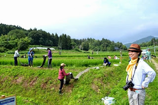 帽子を被りカメラを首から下げた女性の奥の畑で作業をしている人達の写真