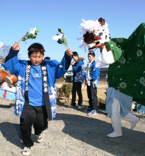 晴れた屋外の広場で、青い法被を着た男の子が、両手に白い花の飾りを持って、頭に白い飾をつけた赤い獅子頭を被った演者と一緒に踊っている、春祈とうの様子の写真