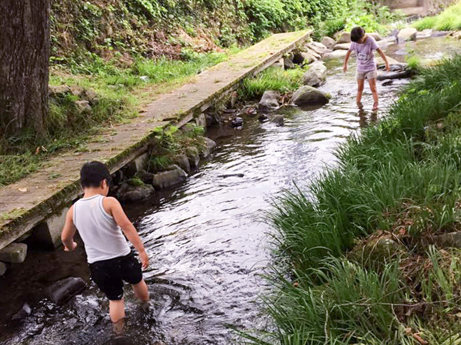 周囲は草が生い茂っている自然豊かな木々に囲まれたせせらぎ水土里公園内の小川で、2人の子どもが裸足で水に入って遊んでいる写真
