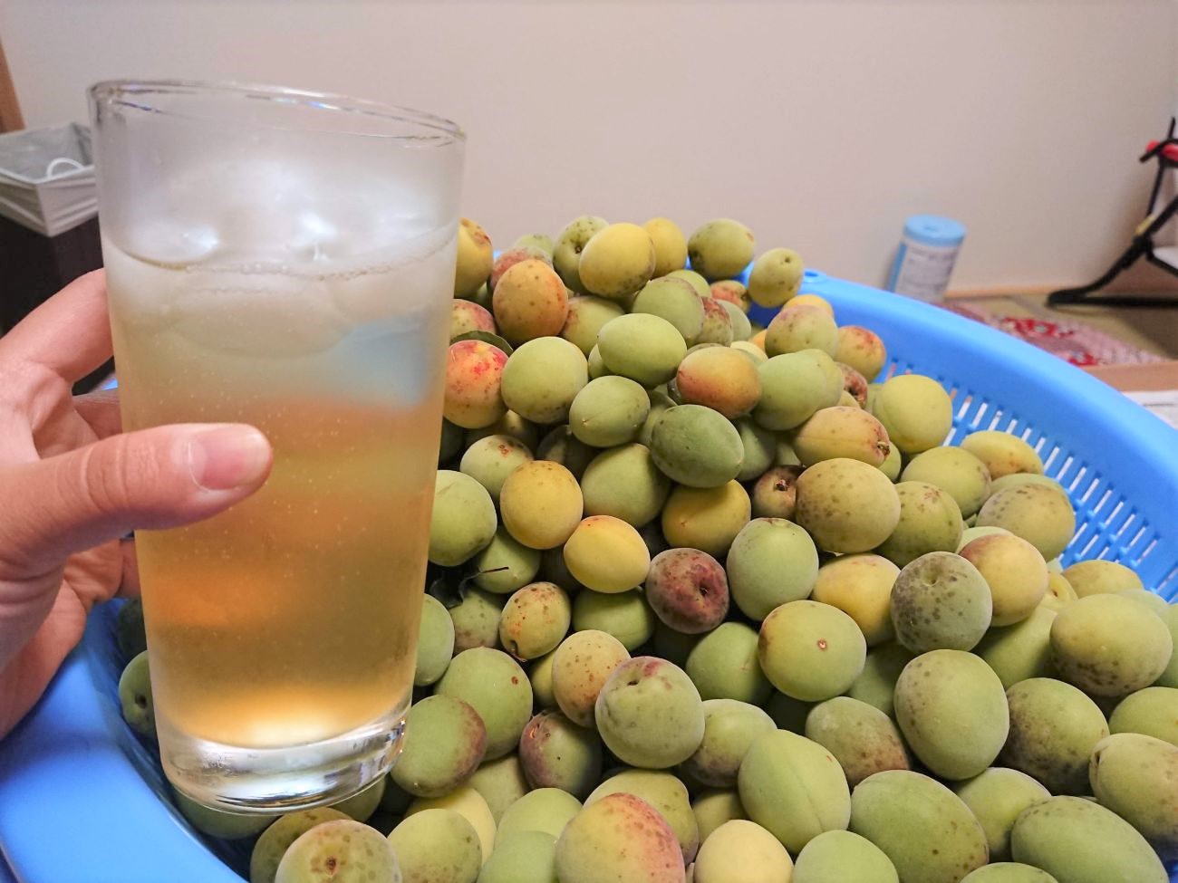 氷の入った梅ジュースのグラスを手に持ち、背景にはざるいっぱいに入った収穫された青梅が置かれている写真