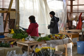 赤いジャンパーを着た女性が机の上に広げられた花を手に茎の下部についている不要な葉を手で取り除くり作業をし、右側に黒いニット帽とグレーの上着を着た男性が立ち、奥の作業台の上や周辺には、黄色や白、ピンクなど色とりどりの花がたくさん並べられている屋内を写した写真
