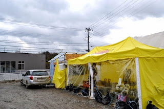 大きな黄色いテントが建っている写真