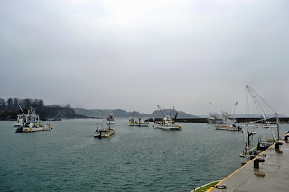 どんよりと曇った空の下、静かな湾内に多くの漁船が浮かび、防波堤や岸壁が見える穏やかな港の様子を写した写真