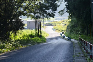 やわらかい光が差し込む木々に囲まれた坂道の下に小さな橋と住宅が見え、奥には田園風景が広がっている通りからの風景を写した写真