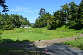 緑の木々に囲まれた広い芝生の広場に舗装された道が通り、奥に白い建物が見える晴天の日の風景の写真