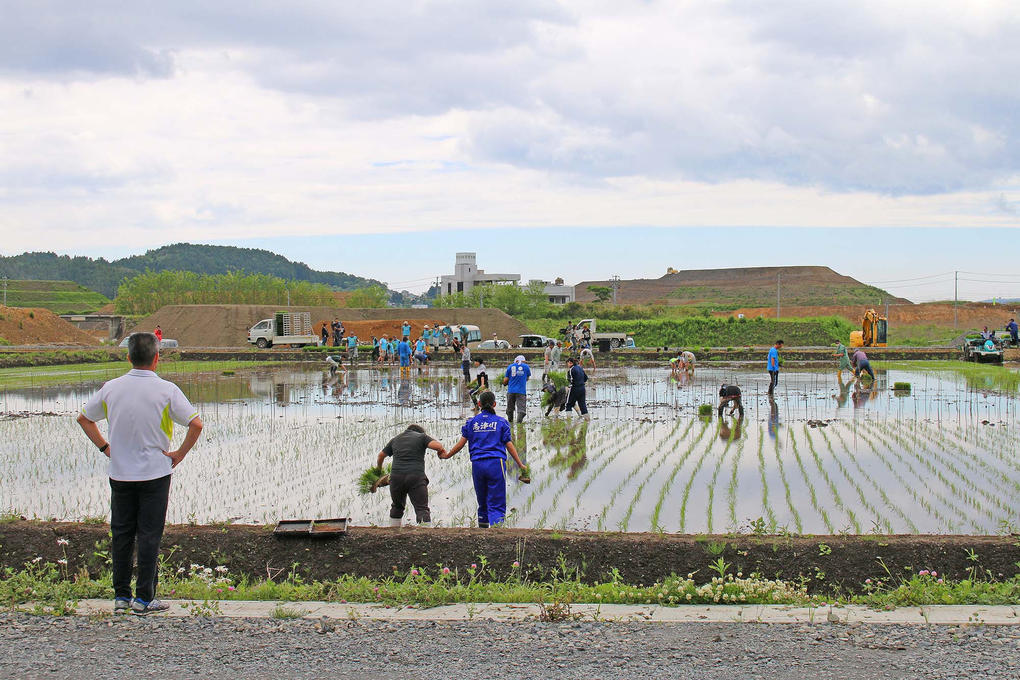 水の張られた田んぼで多くの人々が手作業で苗を植えており、周囲には見学者や農機が見える田植え作業中の様子を捉えた写真