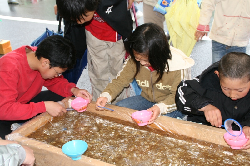 木枠の水槽に入った小さなしろうおを、子どもたちが器とポイを手に、楽しそうにすくっているしろうおすくいの様子の写真
