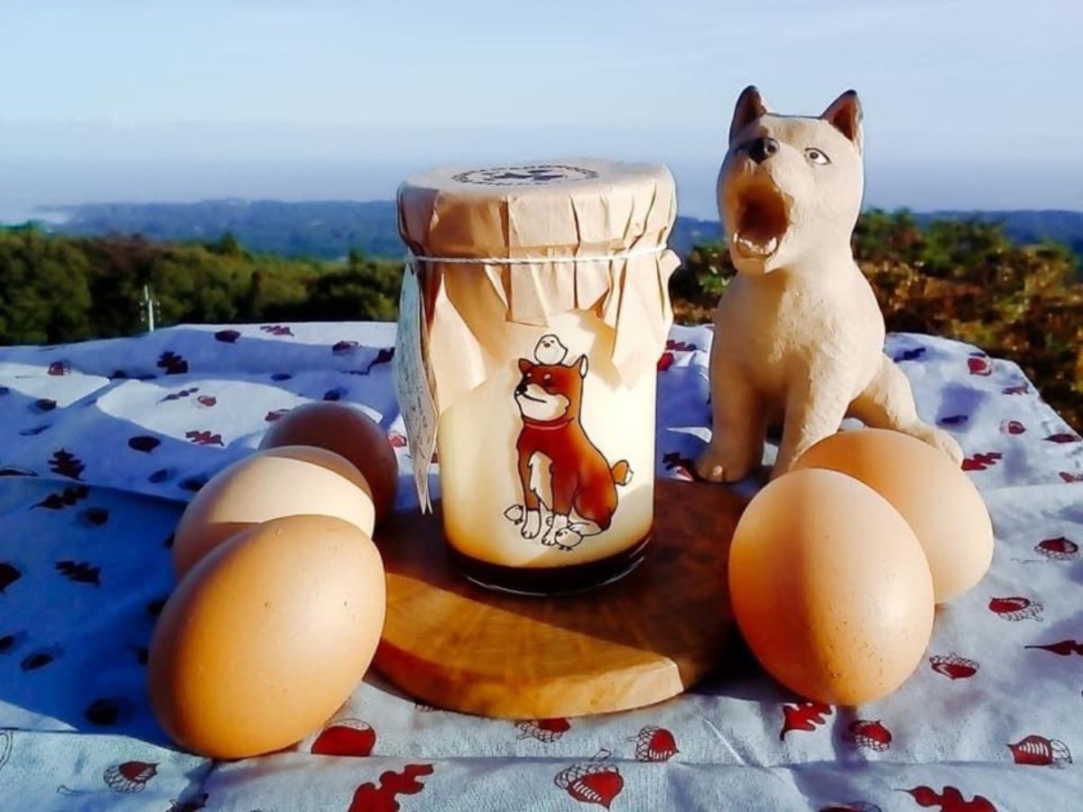 犬のイラストが描かれた瓶と陶器製の犬の置物が並び、その周囲に数個の卵が置かれ、背景には山や空が広がっている写真