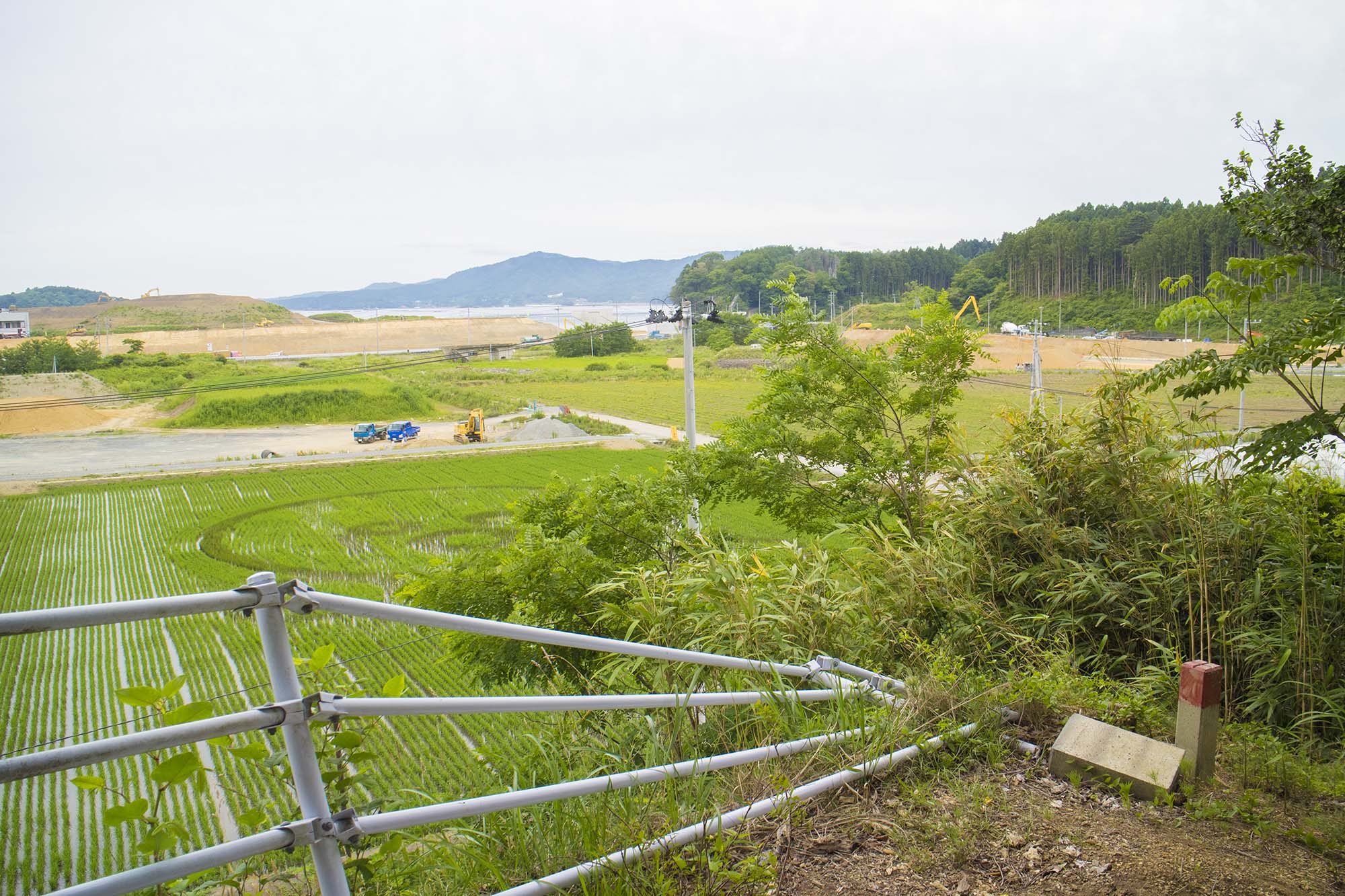 田んぼアートが見える小高い丘にある、津波で倒れたままの白い柵の一部を写した写真