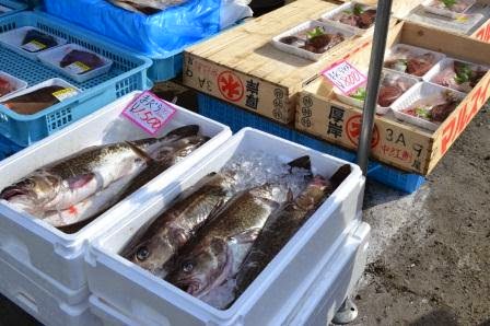 発泡スチロールの箱に氷と一緒に並べられた大きなタラが販売されている写真