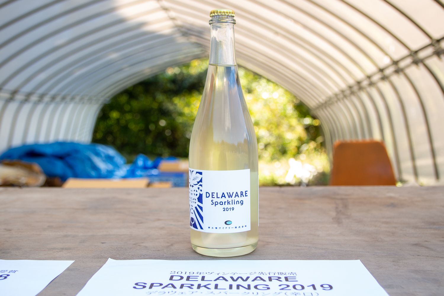 瓶のラベルに「DELAWARE Sparkling 2019」と書かれ、透明な瓶に入ったスパークリングワインが一本置かれている写真