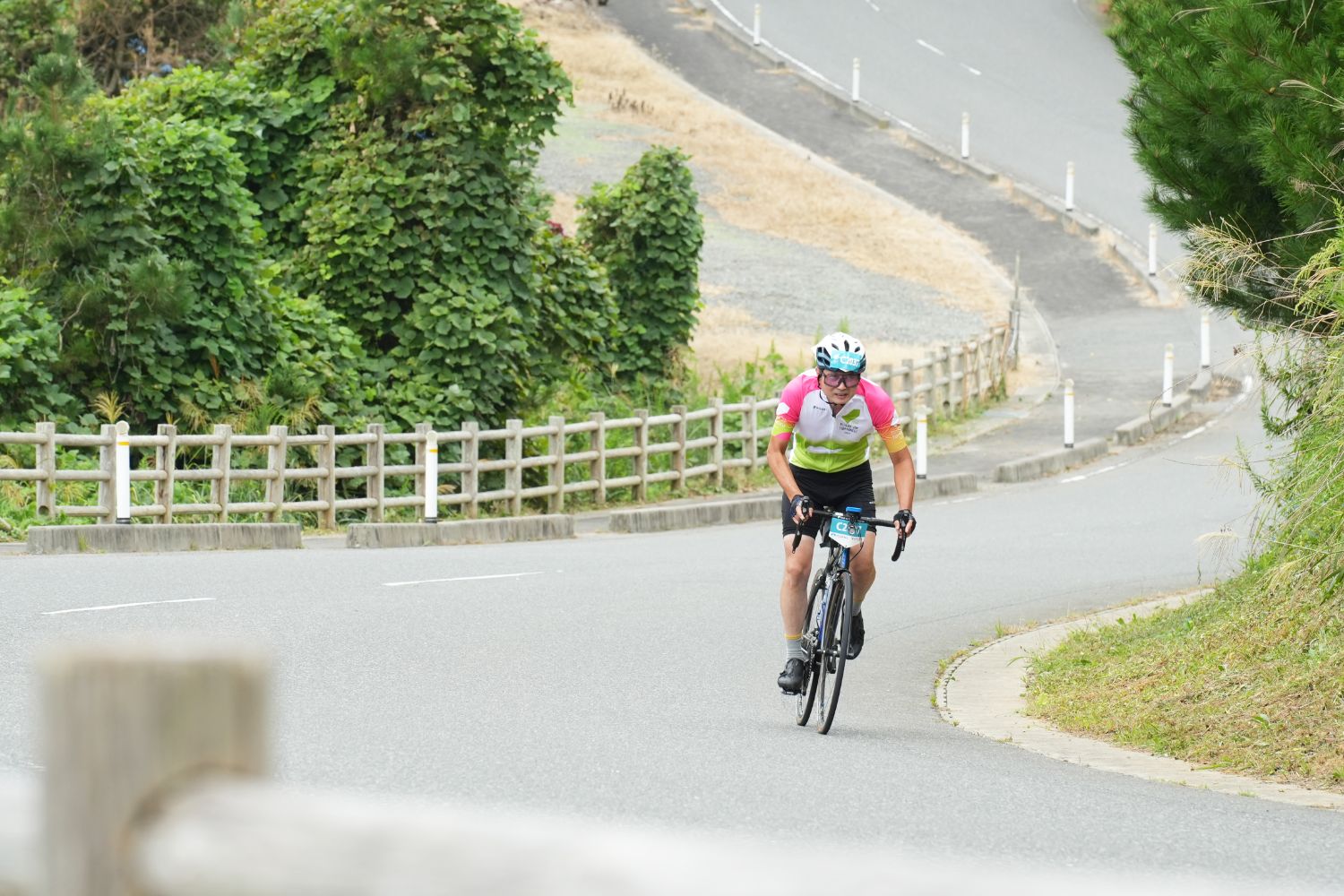 緑に囲まれた坂道を一生懸命に登るサイクリストの写真