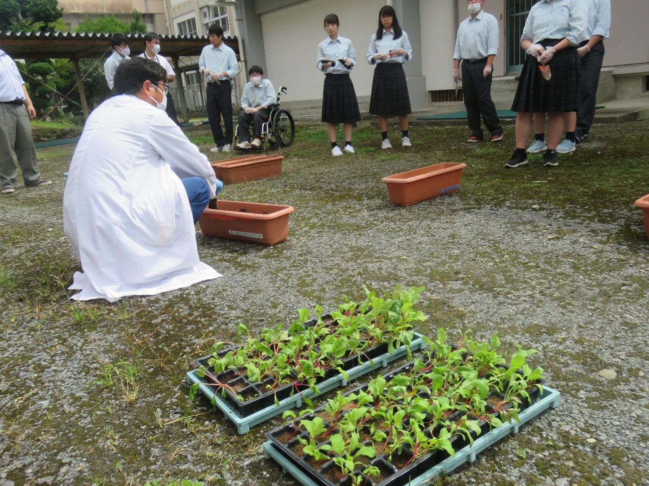 屋外で白衣を着た男性教師がしゃがみながら茶色のプランターの前で作業をしていている様子を、周囲に立つ制服姿の高校生が観察している授業風景の写真