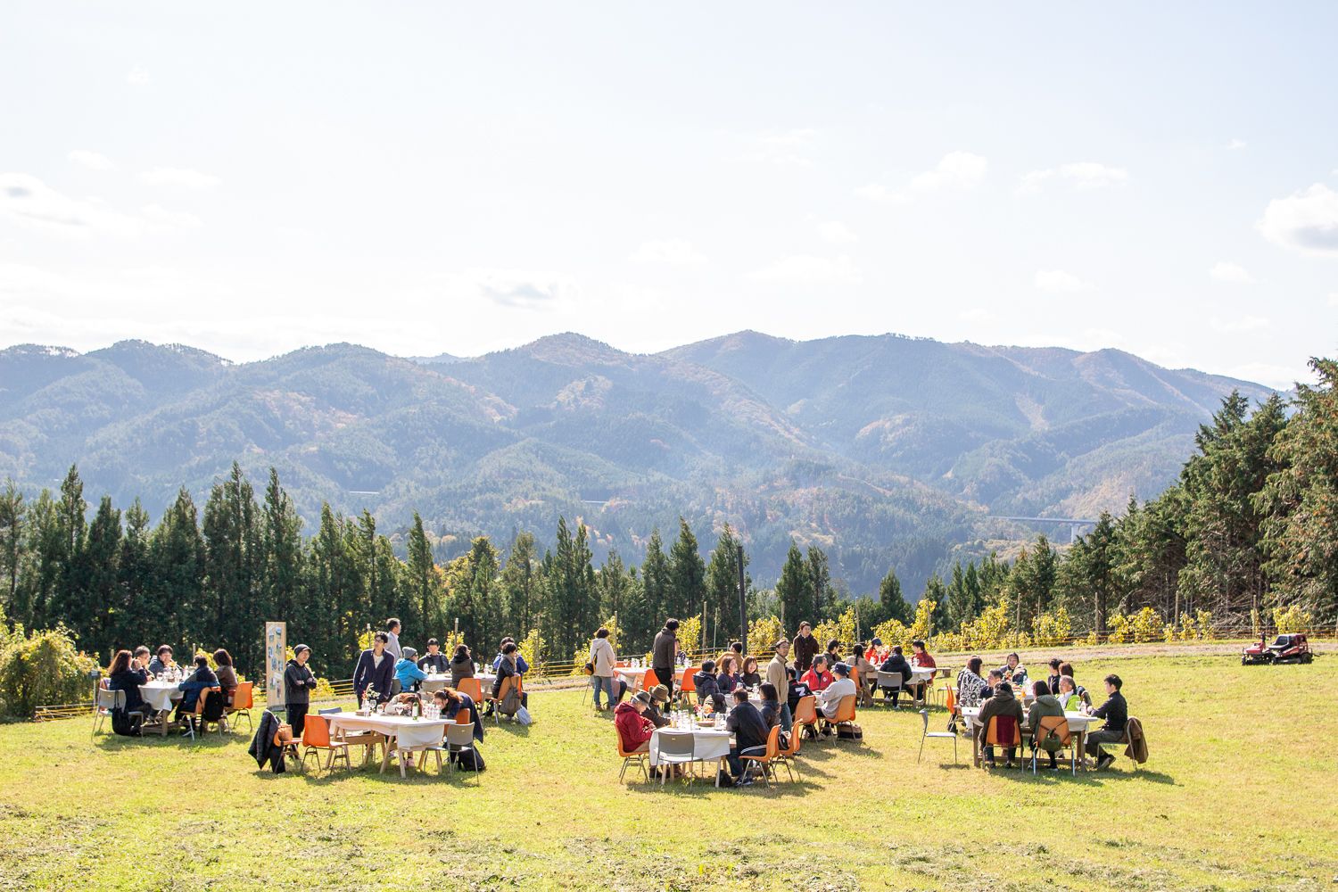 広大な草地の中に、いくつものテーブルが配置され、大勢の人が食事を楽しんでいる様子の写真