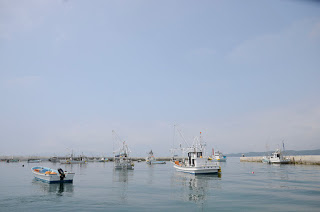 凪の海の上に何隻もの漁船が浮かんでいる写真