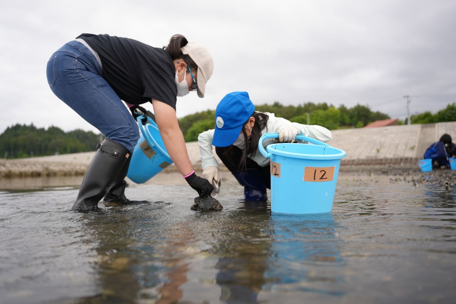 長靴を履いて干潟に貼った二人の児童が、青いバケツを手にしゃがんで水中を調べている様子の写真