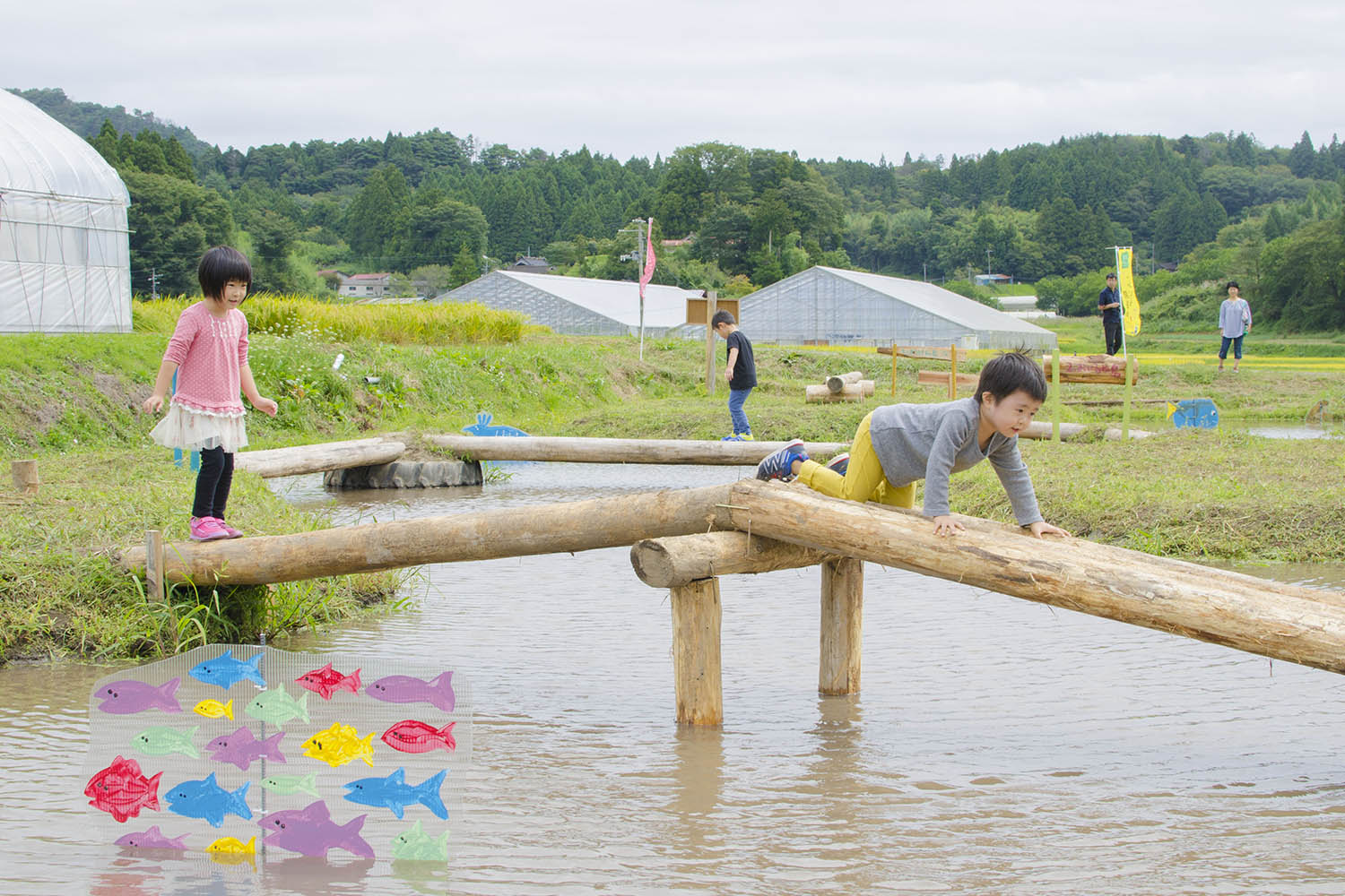 丸太の橋を慎重に渡る子どもたちの姿と、田んぼの中に設置されたカラフルな魚の飾りが見える、花見山ランドで自然とふれあいながら遊ぶ子どもたちの写真