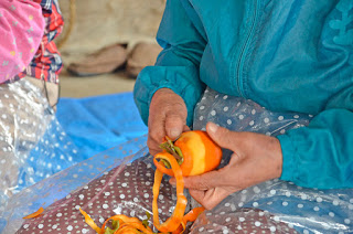 青いジャンパーを着た人が、柿の皮を丁寧にむいている手元のアップ写真