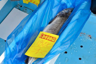 縦長の発泡スチロールの容器の中に青いビニールが敷かれ、「おすすめ品 1800 オス」と書かれた黄色いメモが貼られた鮭が入っている写真