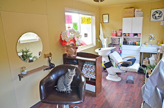 薄い黄色の内壁と木の床の小さな理容室の中で、茶色い椅子に猫が座り、鏡や洗髪用のシンク、棚に並ぶ製品や道具が見える様子の写真