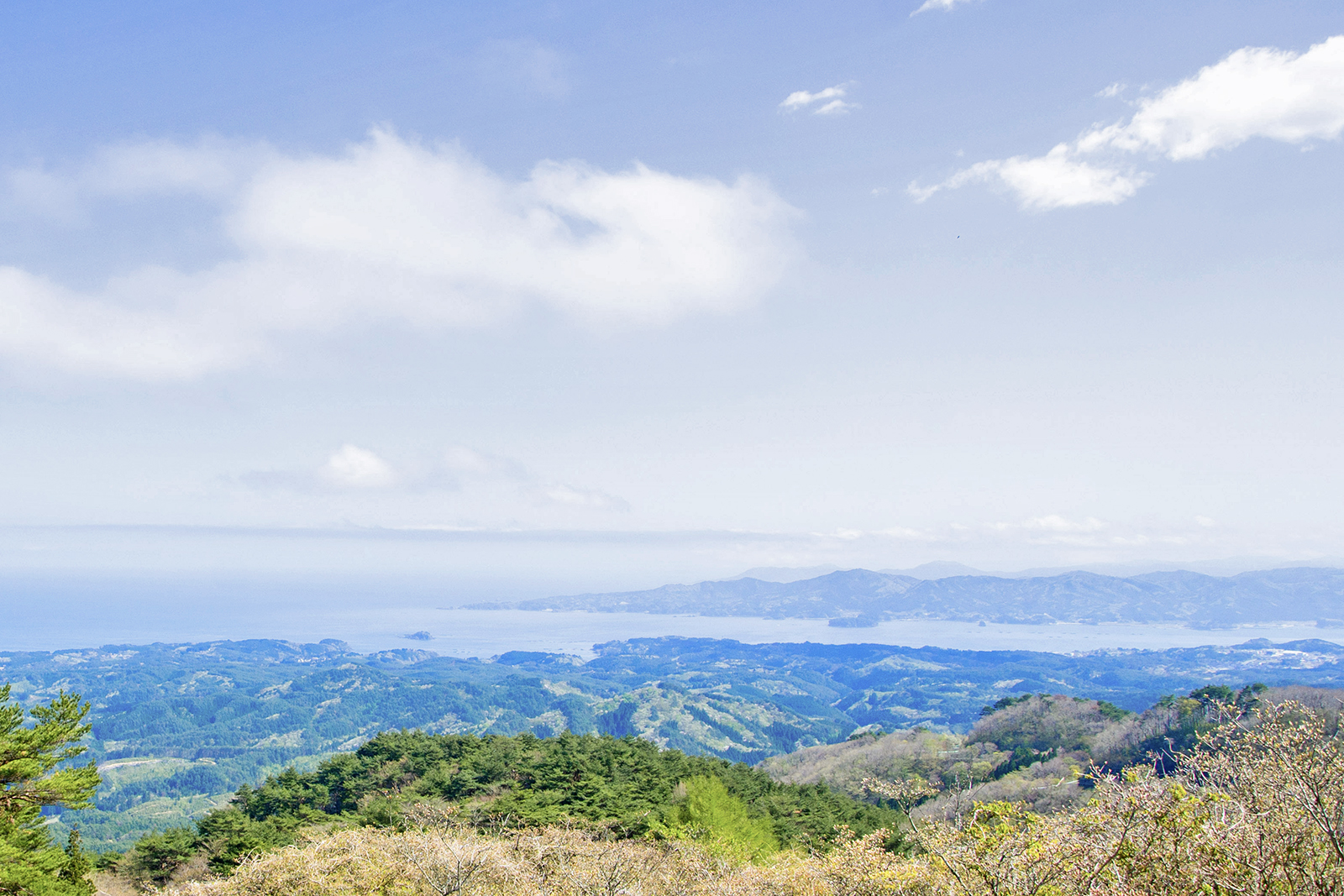 緑が広がる陸地の先に湾があり、奥にはぼんやりとなだらかな山脈が見える南三陸町の景色を高台から撮影した写真